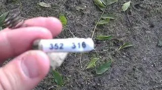Koordynat ułatwiający zlokalizowanie ukrytego skarbu