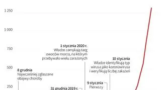Koronawirus z Chin (Maciej Zieliński/PAP)