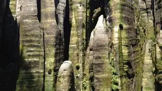 Kotlina Kłodzka (Tomasz Zubilewicz)