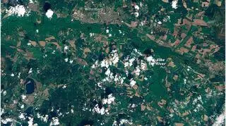 Łaba u stóp Wittenbergi 6 maja 2013 r. (NASA)