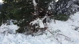 Lawina w czeskich Karkonoszach. Długa na kilometr