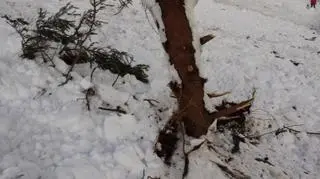 Lawina w czeskich Karkonoszach. Długa na kilometr