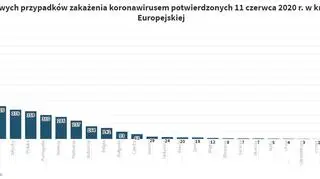 Liczba nowych przypadków zakażenia koronawirusem potwierdzonych 11 czerwca 2020 r