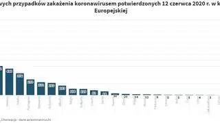 Liczba nowych przypadków zakażenia koronawirusem potwierdzonych 12 czerwca 2020 r. w krajach Unii Europejskiej