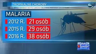 Liczba przypadków malarii rośnie