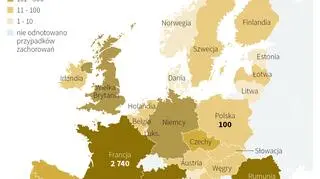 Liczba przypadków zachorowań do czerwca 2018 roku (PAP/Małgorzata Latos)