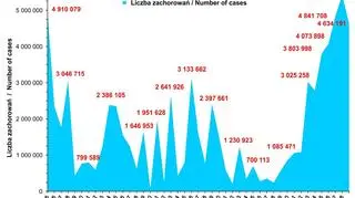 Liczba zachorowań i podejrzeń zachorowań na grypę w sezonach (wrzesień-sierpień) 1974/5 - 2017/18 (pzh