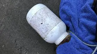 Lis utknął w plastikowym pojemniku (RSPCA)