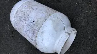 Lis utknął w plastikowym pojemniku (RSPCA)