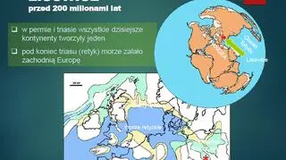 Lisowice przed 200 milionami lat (prezentacja dr hab. Tomasza Suleja)