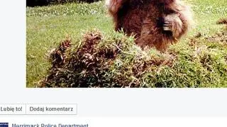 List gończy za Philem 