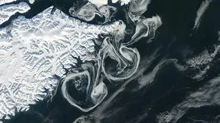 Lodowe okręgi wokół grenlandzkich fiordów (NASA)