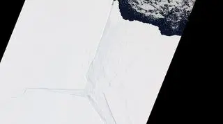 Lodowiec Amery na zdjęciu satelitarnym z 2012 roku (earthobservatory