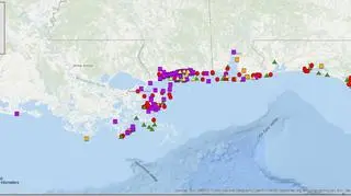 Lokalizacje wyrzuconych na brzeg delfinów butlonosych wzdłuż północnego regionu Zatoki Meksykańskiej w 2019 roku - od Luizjany po zachodnią Florydę (NOAA)