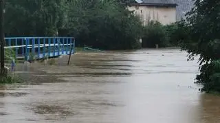 Lokalne podtopienia w okolicy Nysy (Bart Kaczmarek/Kontakt 24)