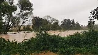 Lokalne podtopienia w okolicy Nysy (Bart Kaczmarek/Kontakt 24)
