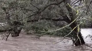 Lokalne podtopienia w okolicy Nysy (Bart Kaczmarek/Kontakt 24)