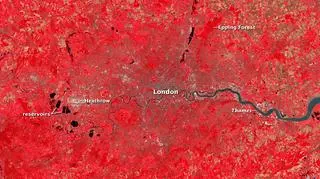 Londyn widziany przez Landstat 7. Fotografia ukazująca roślinność (NASA)