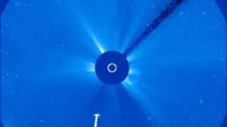 Lovejoy sunie na Słońce... (NASA/SOHO)