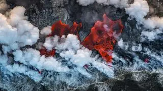 © Luis Vilariño - Wildlife Photographer of the Year