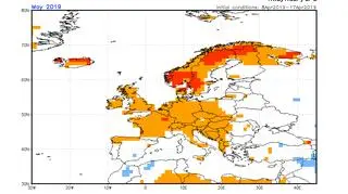 Mapa prognozy odchylenia średniej miesięcznej temperatury maja 2019 (źródło: NOAA)