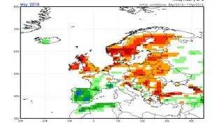 Mapa prognozy odchylenia sum opadów od normy wieloletniej dla maja 2019 (źródło: NOAA)
