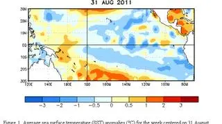 Mapa średnich temperatur powierzchni oceanu. Anomalie zaznaczone na niebiesko wskazują na pojawienie się zjawiska La Niña/NOAA