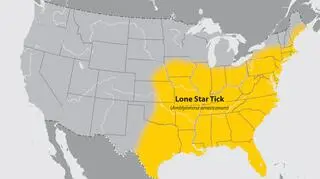 Mapa występowania Amblyomma americanum (CDC)