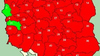 Mapa zagrożenia pożarowego w Polsce na dzień 01.05 (Instytut Badawczy Leśnictwa)