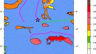 MAPA ZAGROZENIA SEJSMICZNEGO (USGS)