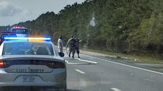 Martwe ryby na autostradzie (Facebook/Penderlea Fire Department)