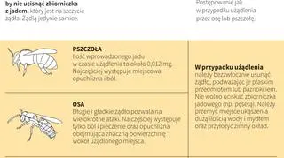 Meszki, pszczoły, komary