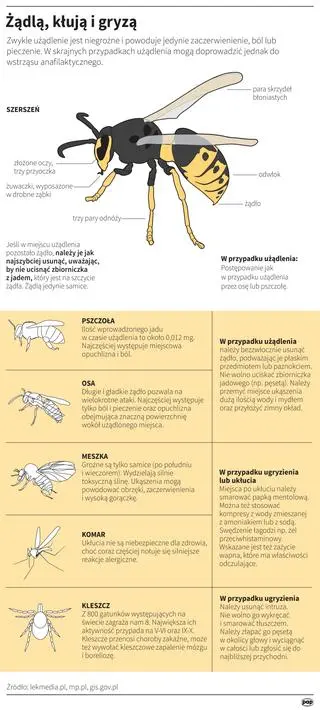 Meszki, pszczoły, komary