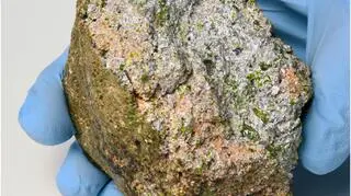 Meteoryt NWA 11119 (2017 B. Barrett/Maine Mineral & Gem Museum)