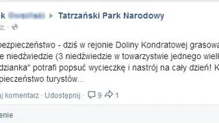 Mężczyzna oburzony obecnością niedźwiedzi