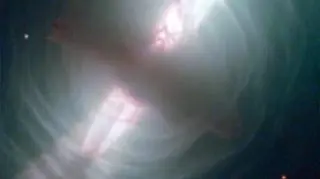 Mgławica Jajko otacza gwiazdę z gwiazdozbioru Łabędzia (ESA/Hubble, NASA)