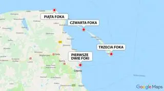 Miejsca, w których znaleziono martwe foki