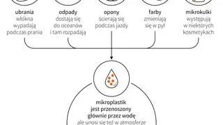 Mikroplastik (Maciej Zieliński/PAP)
