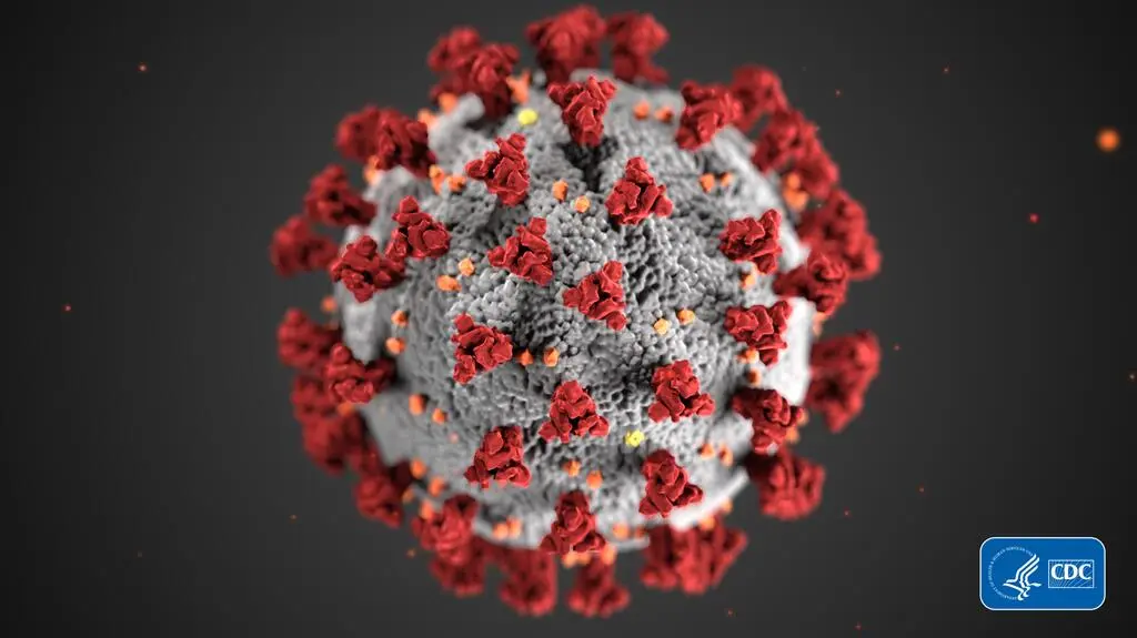 Model koronawirusa SARS-CoV-2 (CDC/Alissa Eckert, MS; Dan Higgins, MAM)