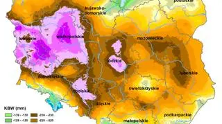 Monitoring Suszy Rolniczej 2019