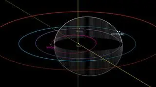 Na biało zaznaczono orbitę 2019 AQ3 (Jet Propulsion Laboratory/Wikipedia)