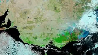 Na czerwono zaznaczono spalone obszary (NASA's Worldview)