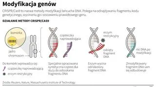 Na czym polega metoda CRISPR/Cas9