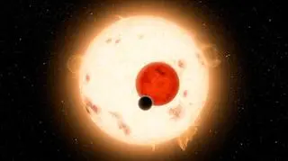 Na Kepler-16b słońce zachodzi dwa razy/NASA/JPL-Caltech/R. Hurt