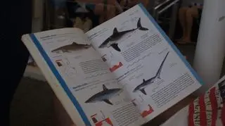 Na swojej drodze Zubi spotkał rekina (fot. Tomasz Zubilewicz)