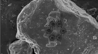 Najmniejszy krasnoludek na świecie ma 20 mikrometrów wzrostu