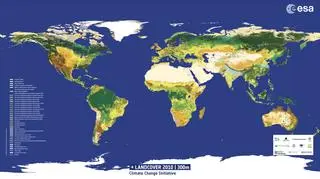 Najnowsza mapa pokrycia terenu dla wszystkich powierzchni lądowych na Ziemi