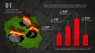 Najwięcej pożarów traw występuje wczesną wiosną