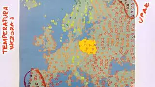 Najwyższa temperatura w niedzielę 12 maja (wetteronline.de, tvnmeteo.pl)