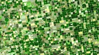 Nasa pokazuje najpiękniejsze oblicze Ziemi (NASA)